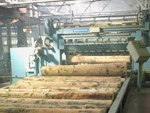 1987 - �������� ���� ������ (������������ ����� Raute Wood/���������, ���������������� �������� 100 ���. �3 � ���).