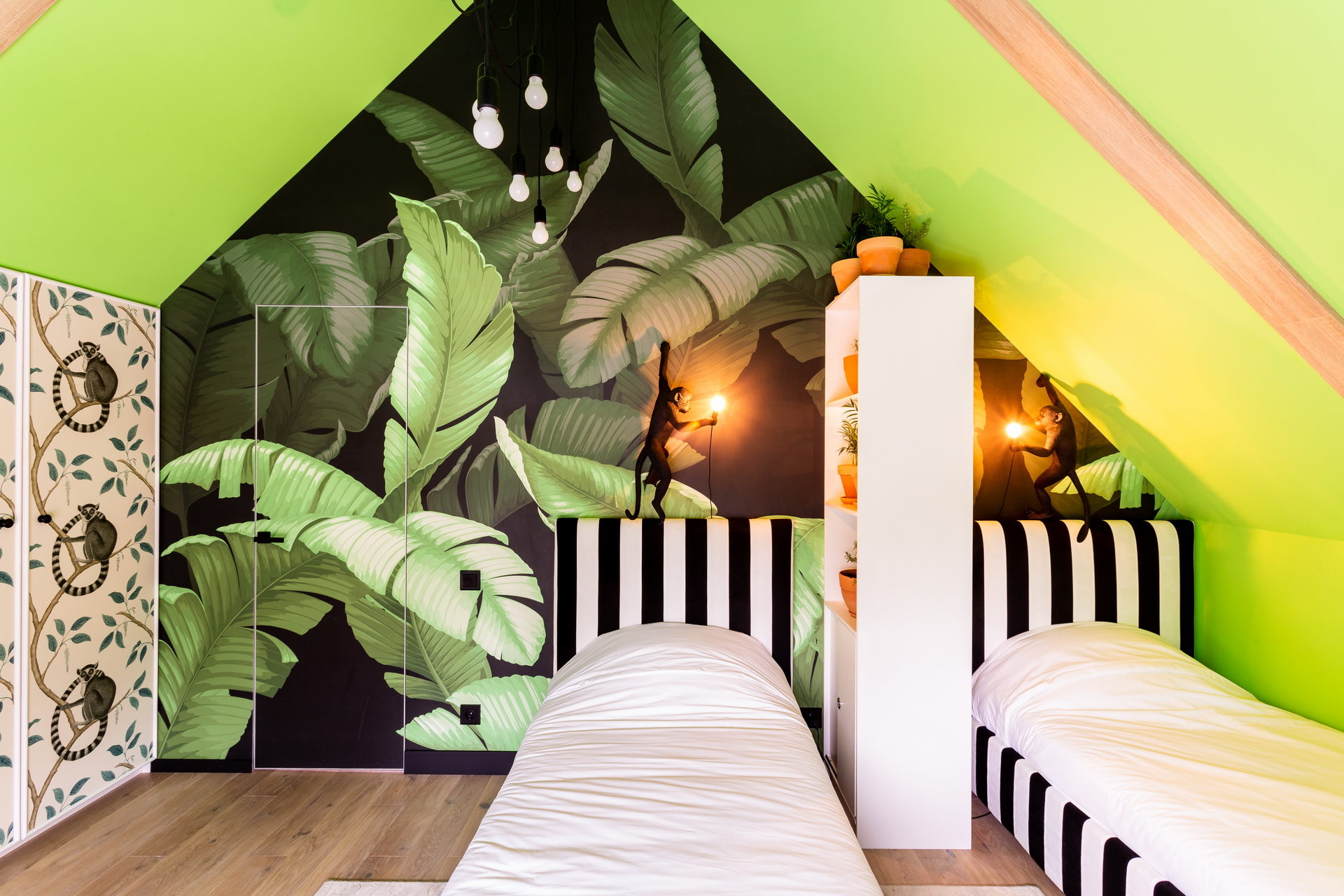 Plywood SyPly in the project "Dachny Answer" on the NTV channel